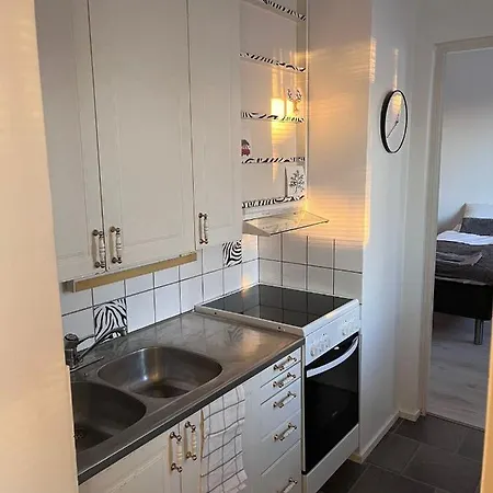 Kaamos روفانييمي