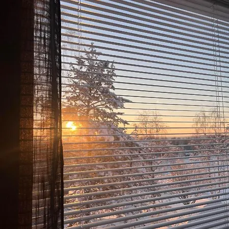 公寓 Kaamos 罗瓦涅米