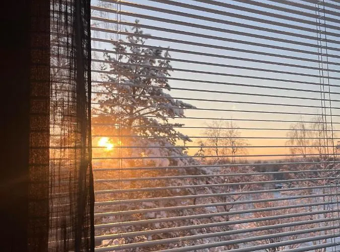 Апартаменты Kaamos Рованиеми